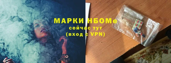 гашик Мегион