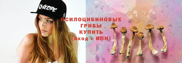 мдпв Медвежьегорск