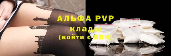гашик Мегион