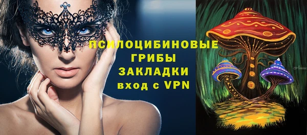 гашик Мегион