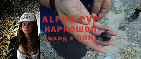 гашик Мегион