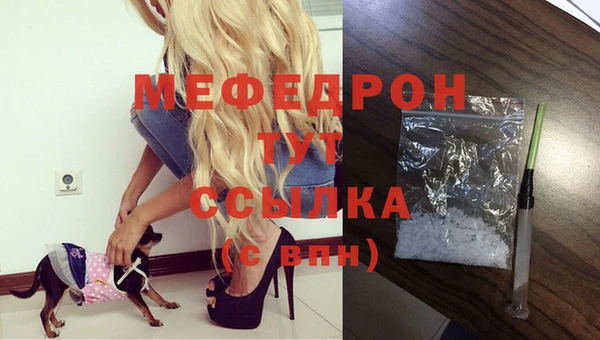 гашик Мегион