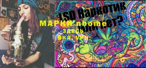 гашик Мегион