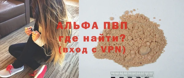 гашик Мегион