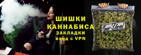 гашик Мегион