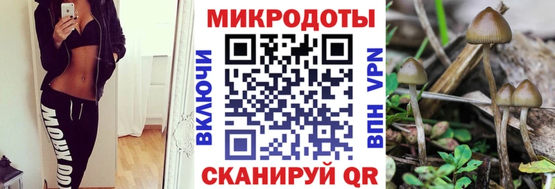 Псилоцибиновые грибы мухоморы  Ессентукская 